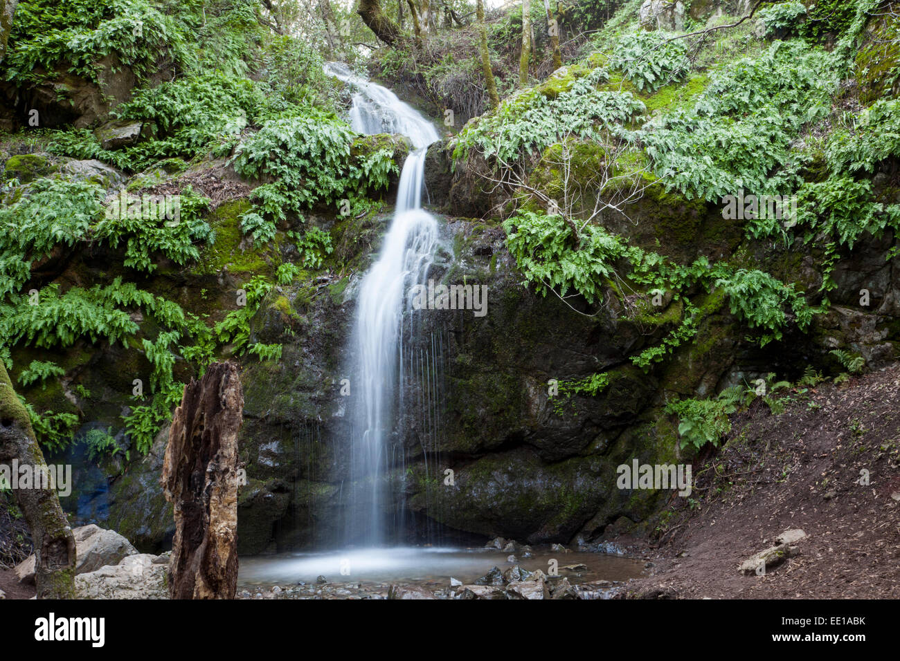 Arroyo de San Jose Wasserfall, Novato, Kalifornien, USA Stockfoto