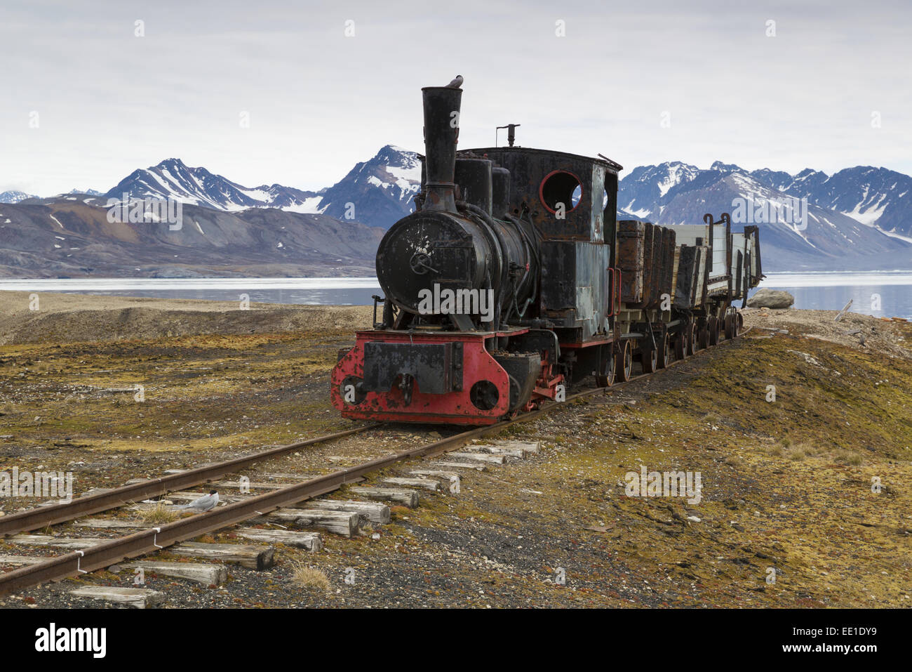 Historischen Kohle Bergbau Stream trainieren in der Tundra, Ny-Alesund, Spitzbergen, Svalbard, August Stockfoto