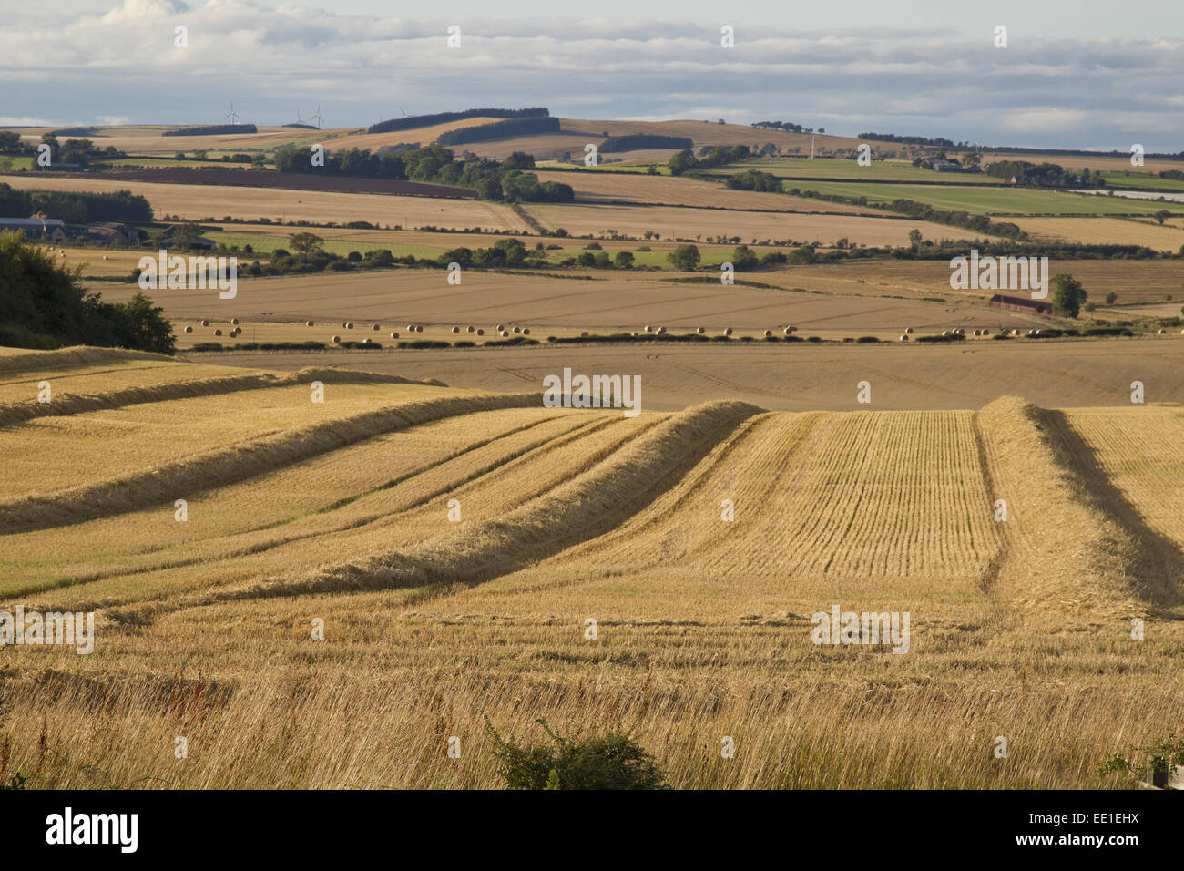 Geerntete Felder mit den Linien der Lose Stroh und Rundballen in Abend Sonnenlicht mit unbeschnittenen und gepflügten Feldern in Ferne, Berwickshire, Schottland, Scottish Borders, August Stockfoto