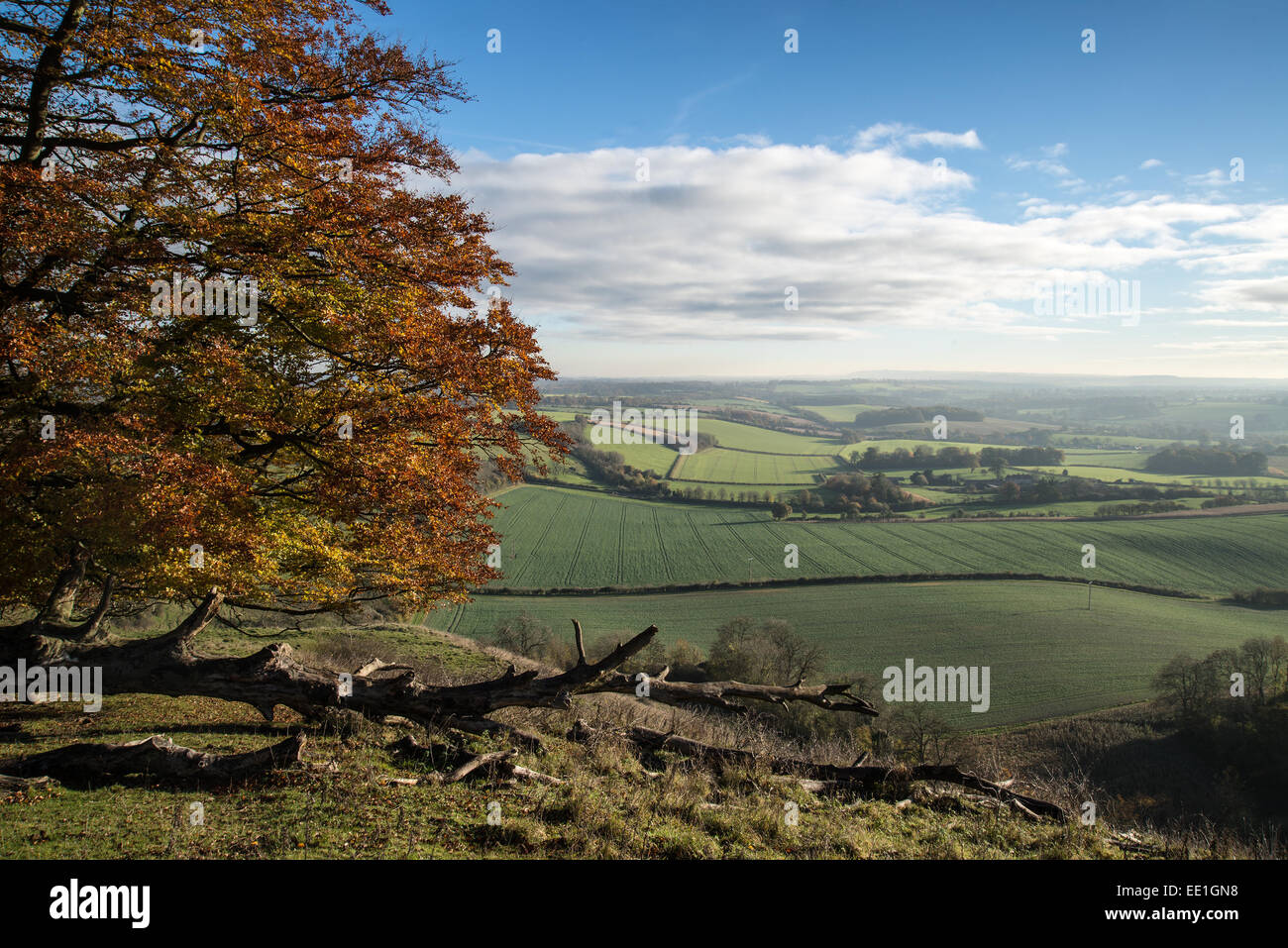 Schönen guten Morgen Blick über sanfte Landschaft im Herbst Stockfoto