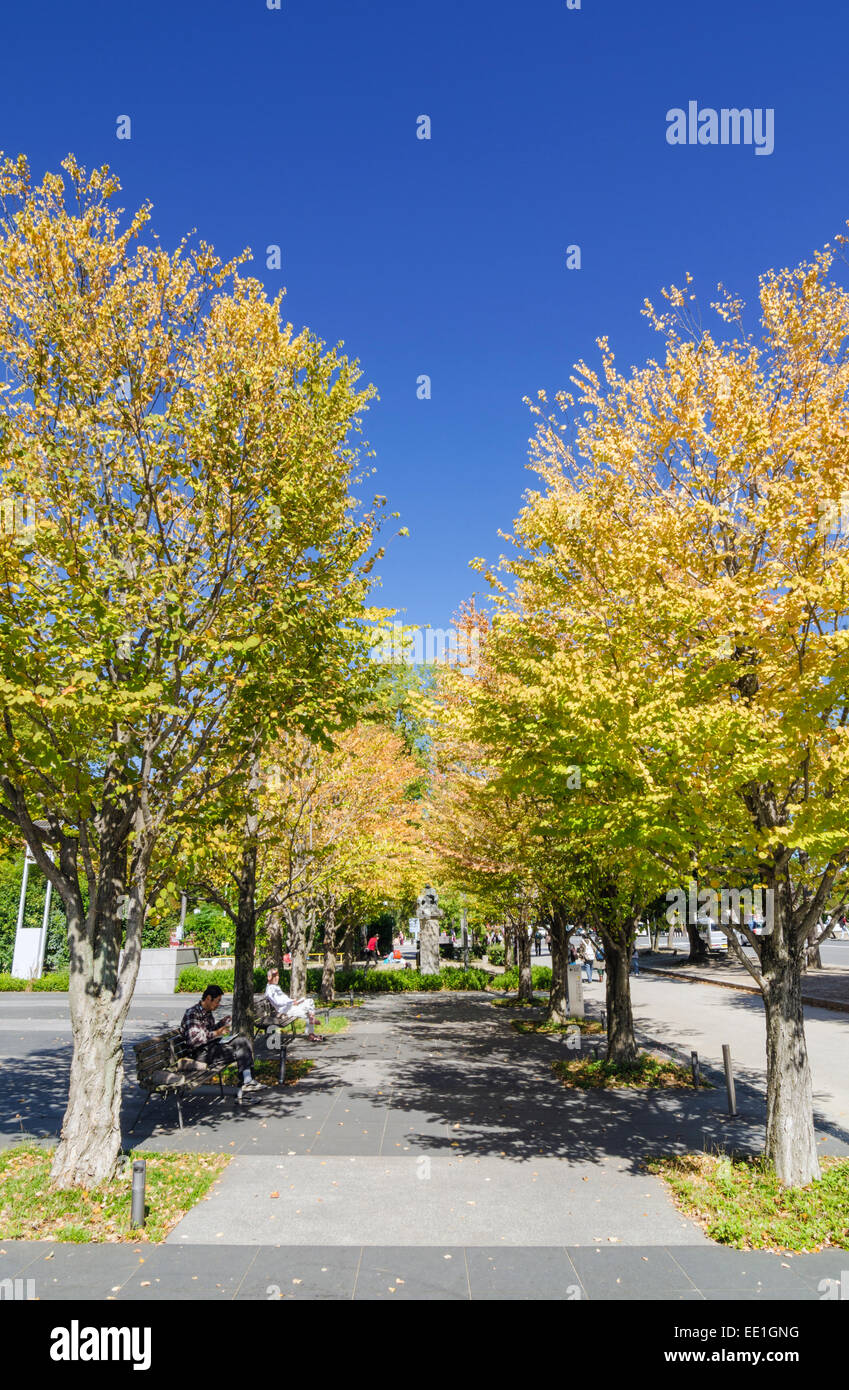 Wandel der Saison wie die Herbstfarben der Bäume in Okazaki-Park, Kyoto, Kansai, Japan starten Stockfoto