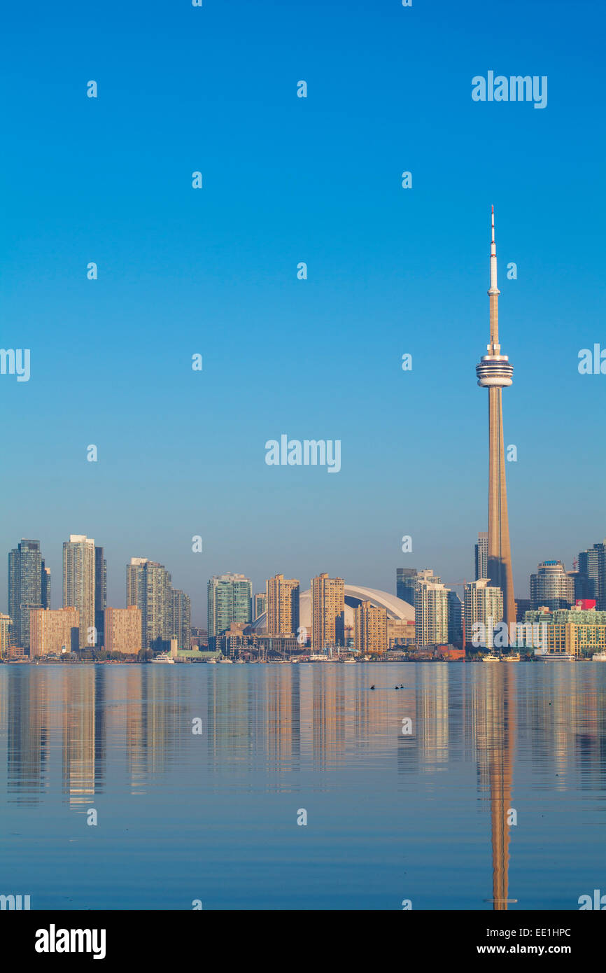 Blick auf den CN Tower und Stadt Skyline, Toronto, Ontario, Kanada, Nordamerika Stockfoto