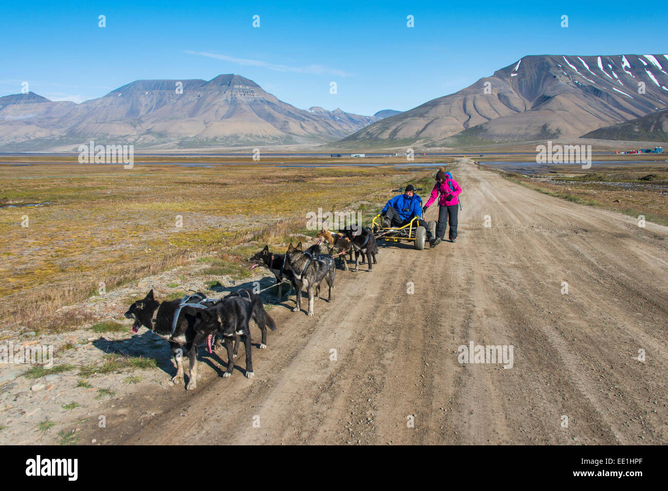Husky Hundeschlitten auf Rädern, Svalbard, Longyearbyen, Norwegen, Skandinavien, Europa Stockfoto