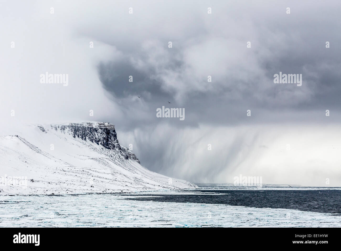 Schnee-Sturm nähert sich Alkefjelet, Cape Fanshawe, Spitzbergen, Svalbard, Arktis, Norwegen, Skandinavien, Europa Stockfoto