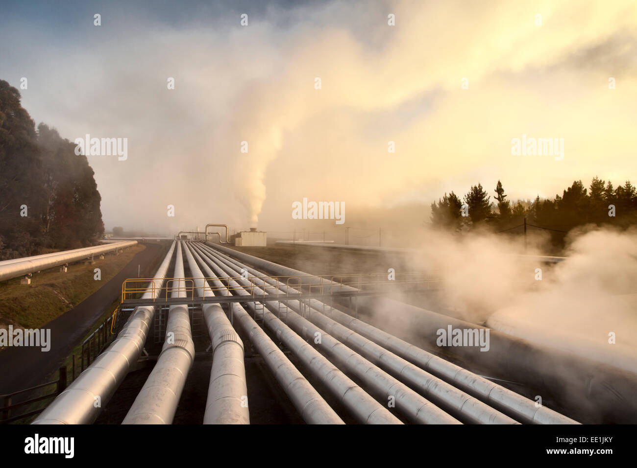 Dampf steigt aus heißen geothermische Rohre in der Morgendämmerung, Wairakei Dampf Feld, Taupo, North Island, Neuseeland, Pazifik Stockfoto