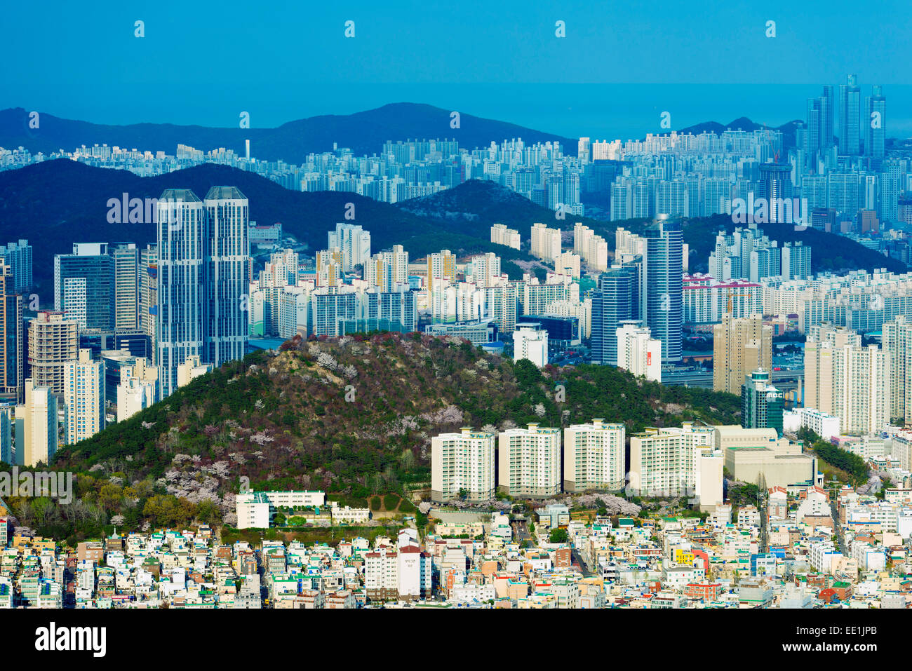 City Skyline, Busan, Südkorea, Asien Stockfoto