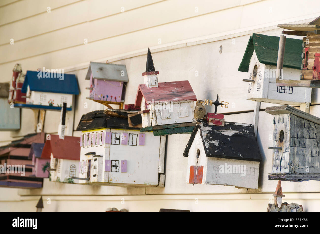 Vogelhäuschen für Verkauf in einem Antiquitätengeschäft in Chatham, Massachusetts, New England, Vereinigte Staaten von Amerika, Nordamerika Stockfoto