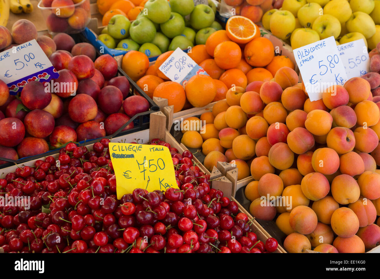 Früchte für den Verkauf in Mercato di Campo de Fiori, Rom, Latium, Italien, Europa Stockfoto