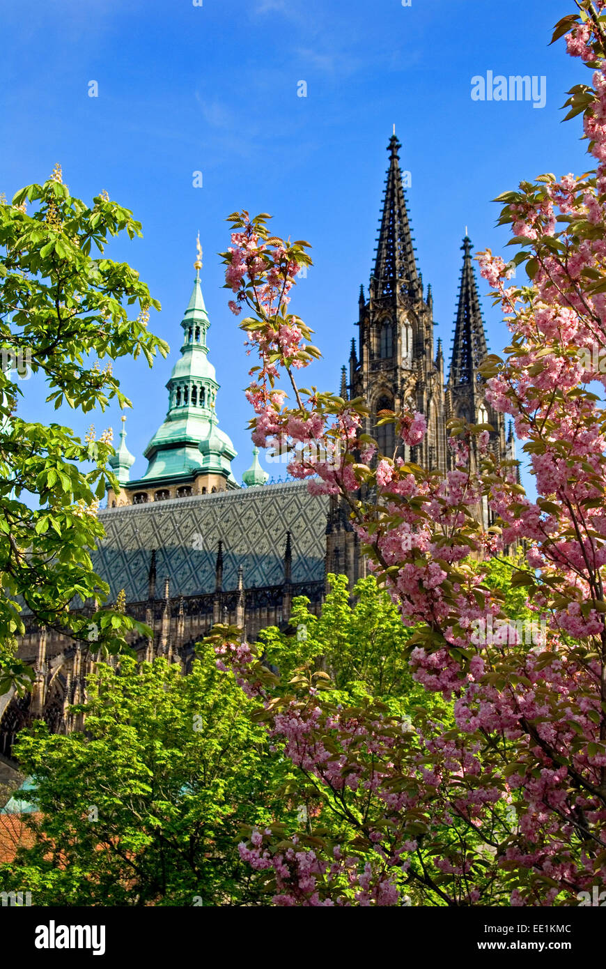 Prag, Tschechische Republik. St Vitus Cathedral gesehen von Kralovska Zahrada (Royal Gardens) Stockfoto