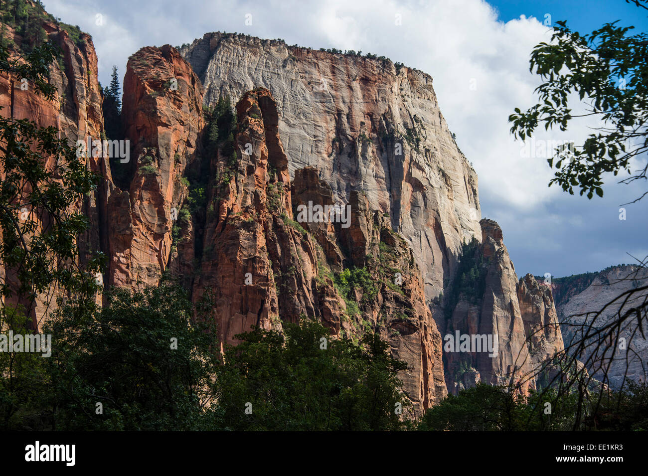 Die hoch aufragenden Klippen der Zion Nationalpark, Utah, Vereinigte Staaten von Amerika, Nord Amerika Stockfoto