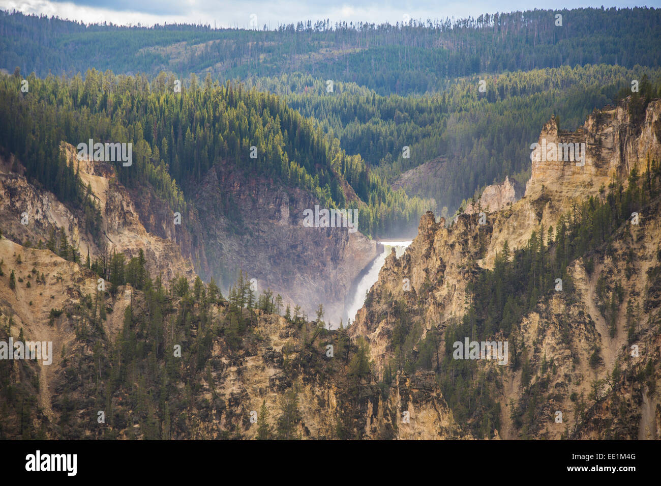 Desto geringer fällt in der Grand Canyon von Yellowstone, Yellowstone-Nationalpark, UNESCO World Heritage Site, Wyoming, USA Stockfoto