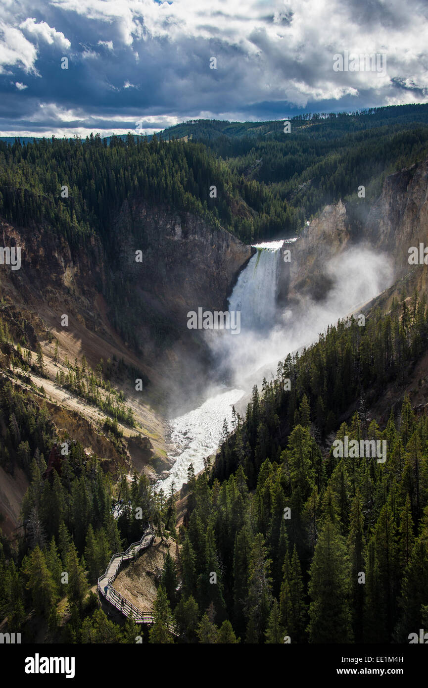 Die obere verliebt sich in den Grand Canyon von Yellowstone im Yellowstone National Park, UNESCO World Heritage Site, Wyoming, USA Stockfoto