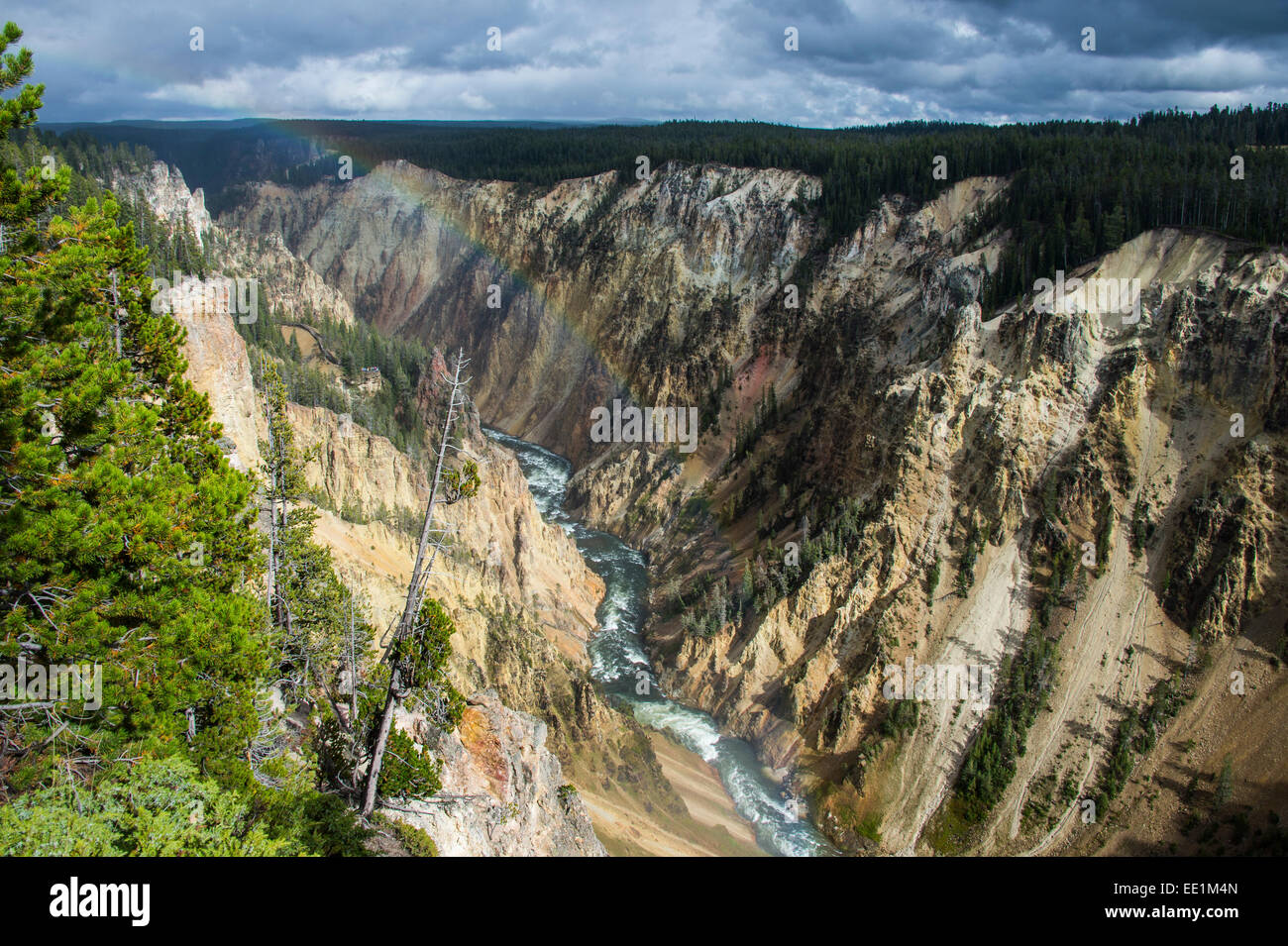 Der bunte Grand Canyon von der Yellowstone, Yellowstone-Nationalpark, UNESCO World Heritage Site, Wyoming, USA Stockfoto
