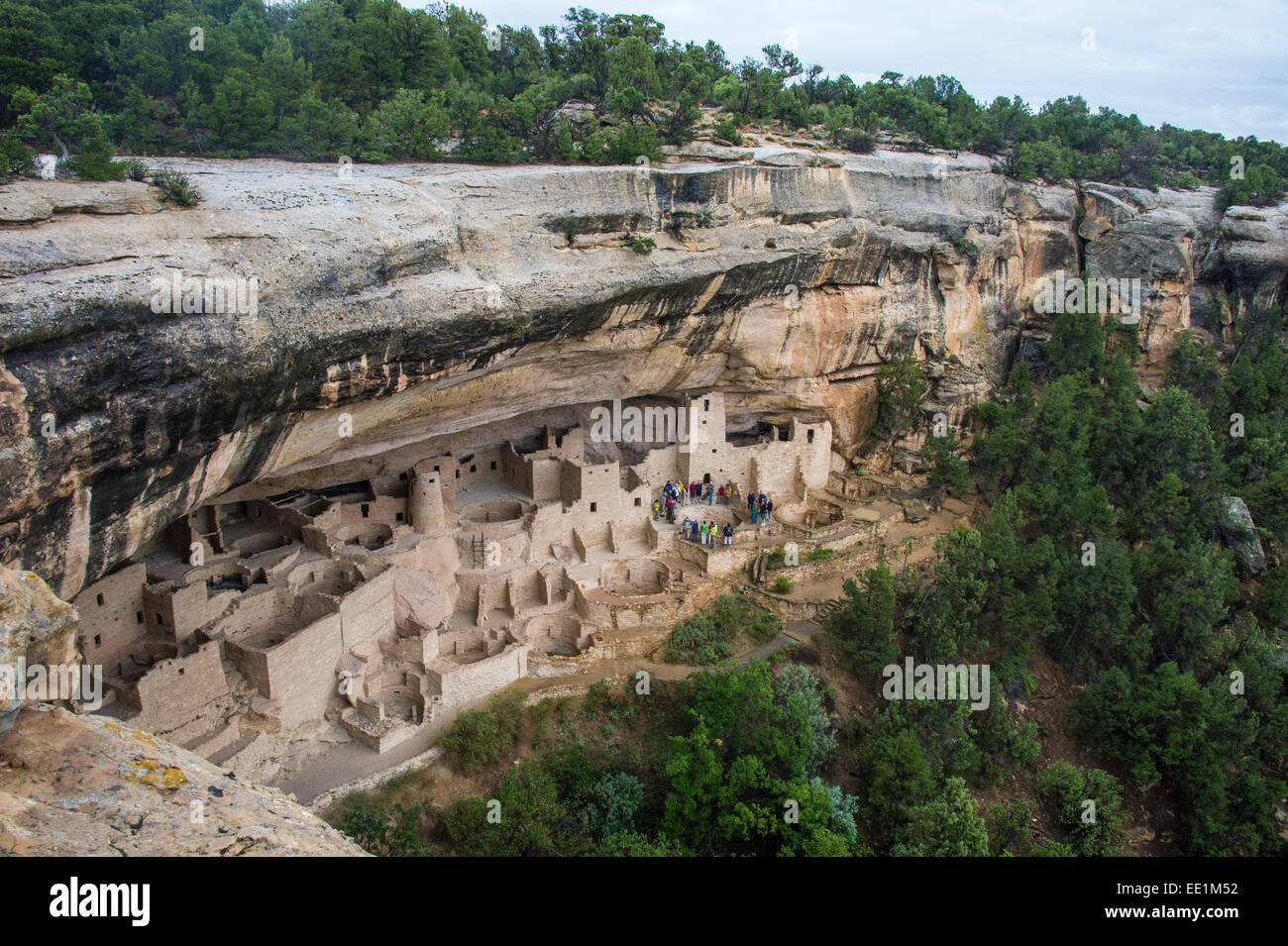 Der Cliff Palace Inder Wohnung, Mesa Verde National Park, UNESCO World Heritage Site, Colorado, Vereinigte Staaten von Amerika Stockfoto