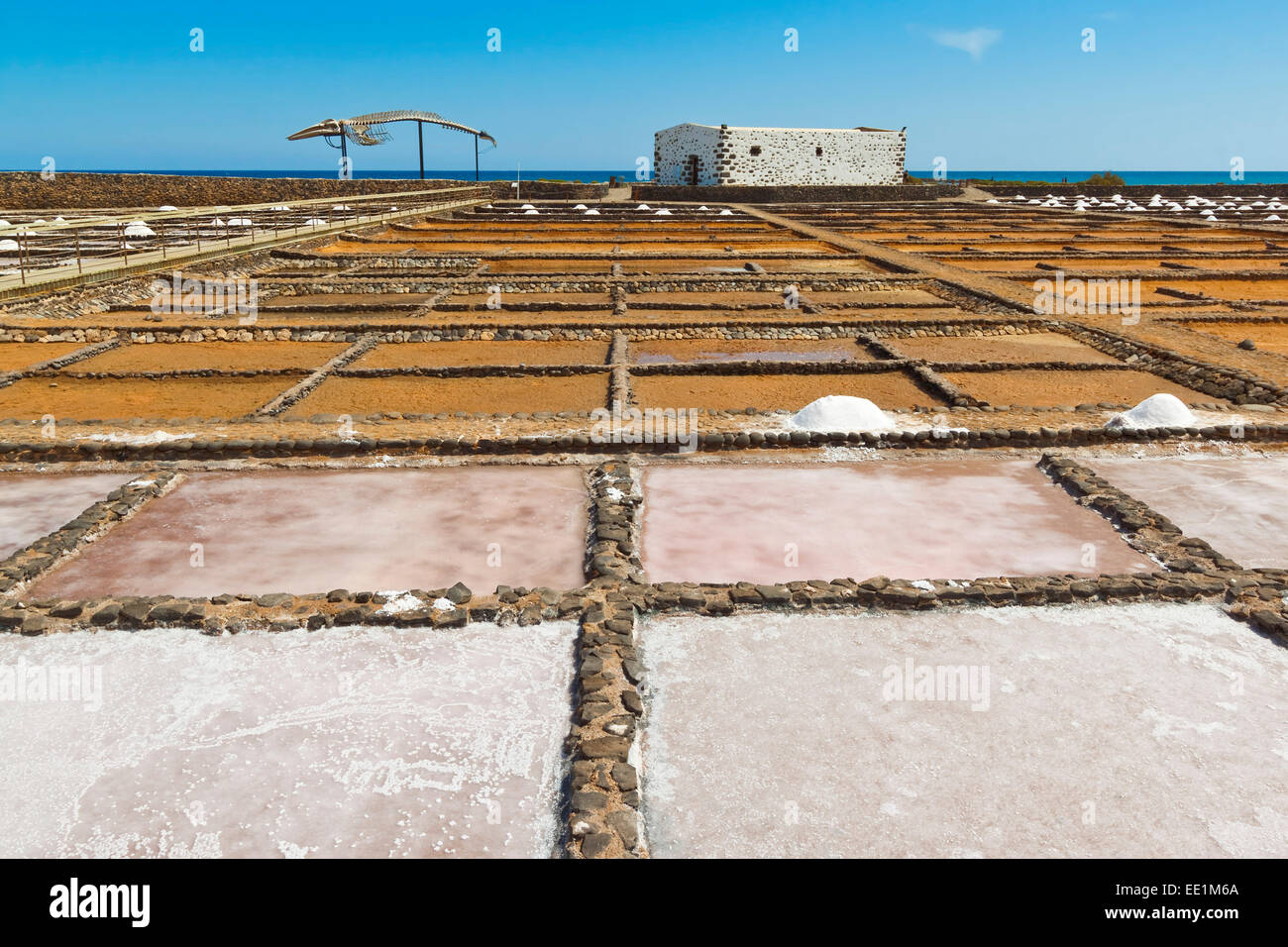 Salinen noch im Einsatz bei El Carmen Salinas und Salzmuseum an der Ostküste, Caleta de Fuste, Fuerteventura, Kanarische Inseln Stockfoto