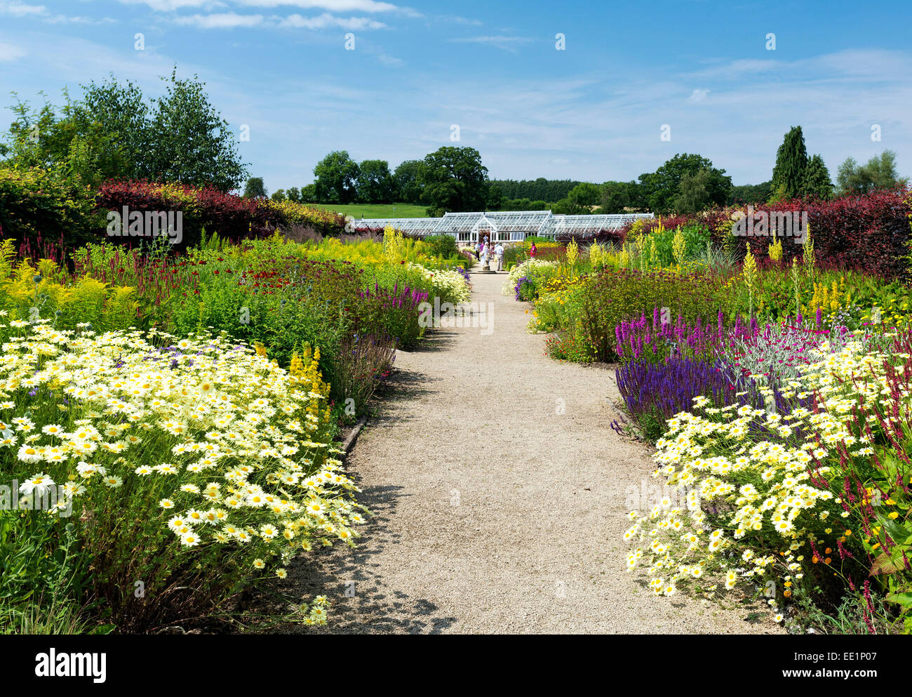 Sommerblumen im Helmsley walled garden Stockfoto