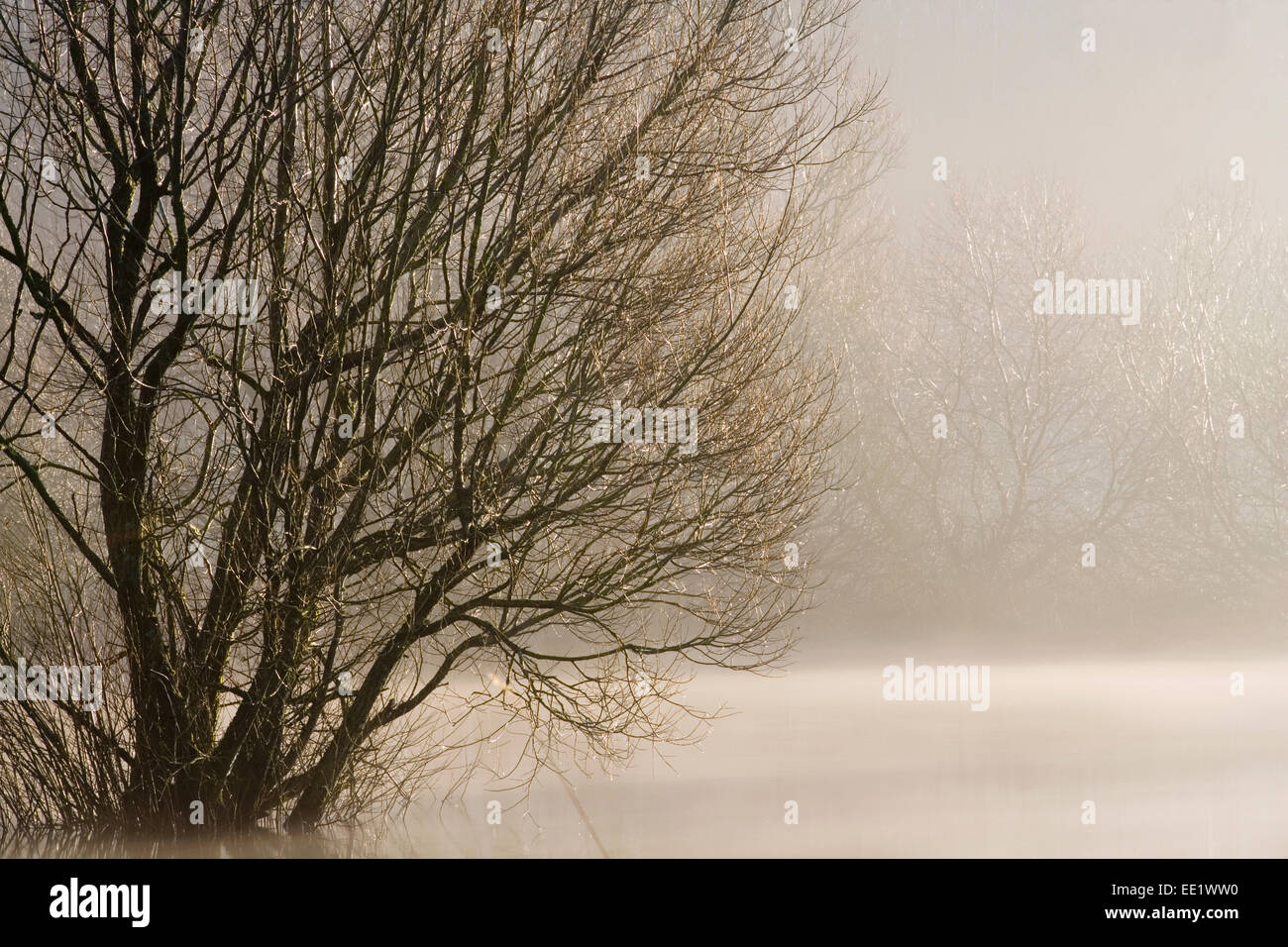 Ein Blick auf Blagdon See. Stockfoto