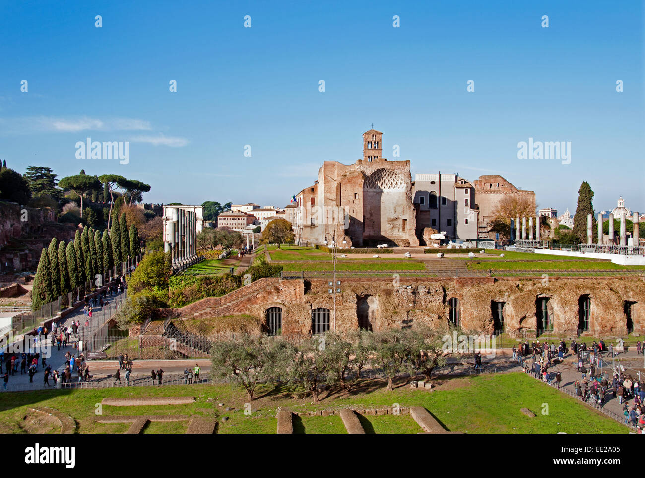 Der Tempel der Venus und Roma (Tempio de Venere e Roma) Rom Ruinen Forum Romanum Italien Roman Lazio Stockfoto