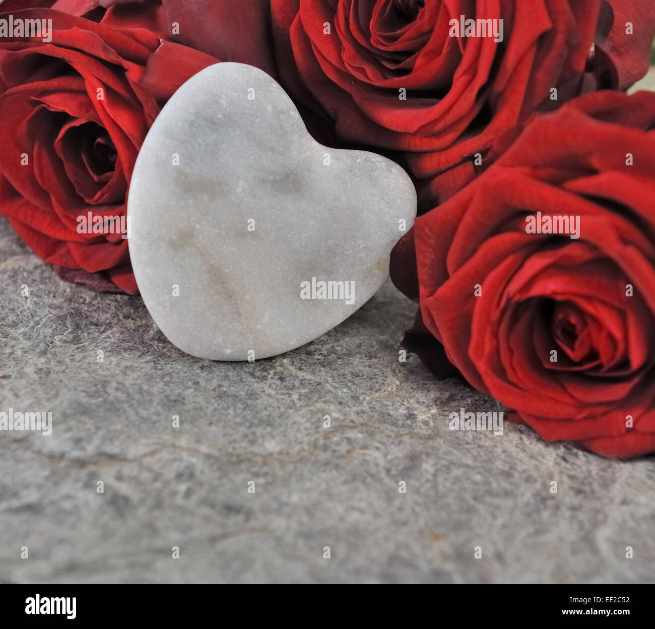 herzförmige Kiesel und rote Rosen Stockfoto