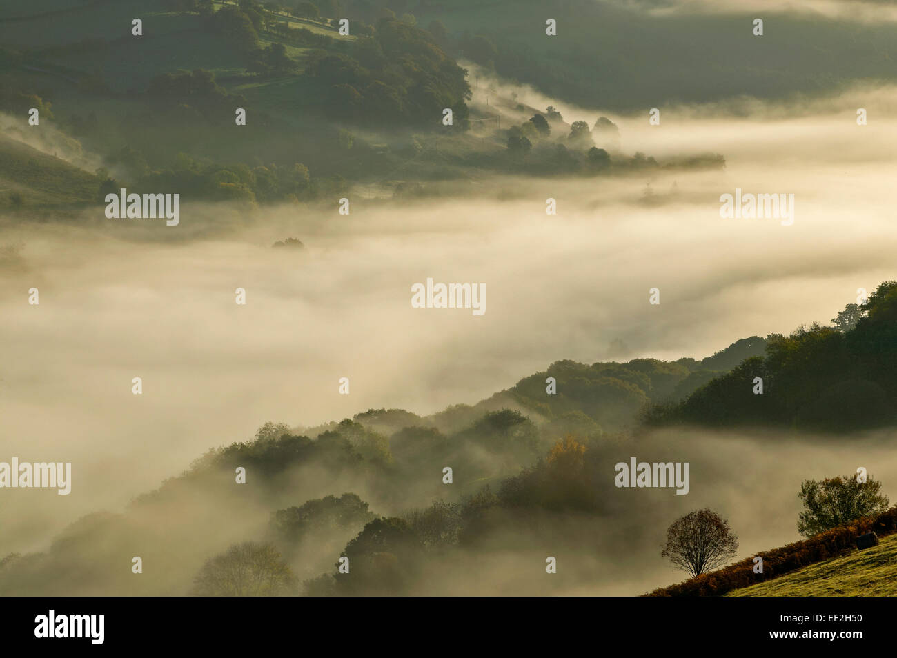 WYE VALLEY POWYS, WALES AM FRÜHEN MORGEN HERBSTNEBEL ÜBER DEN FLUSS UND BÄUME Stockfoto