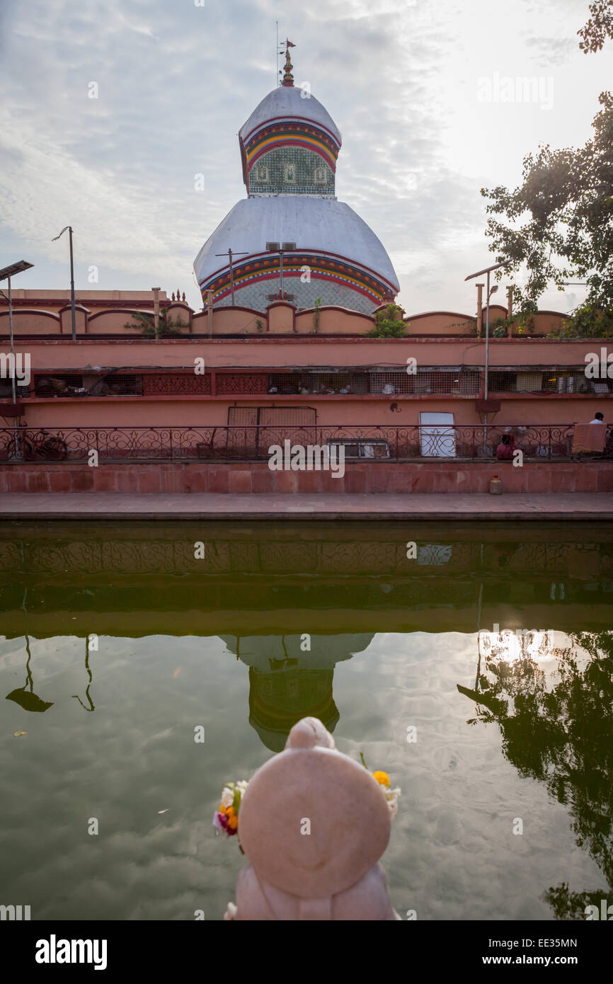 Heiliges Wassertank Kalighat Tempel, Kalkutta. Stockfoto