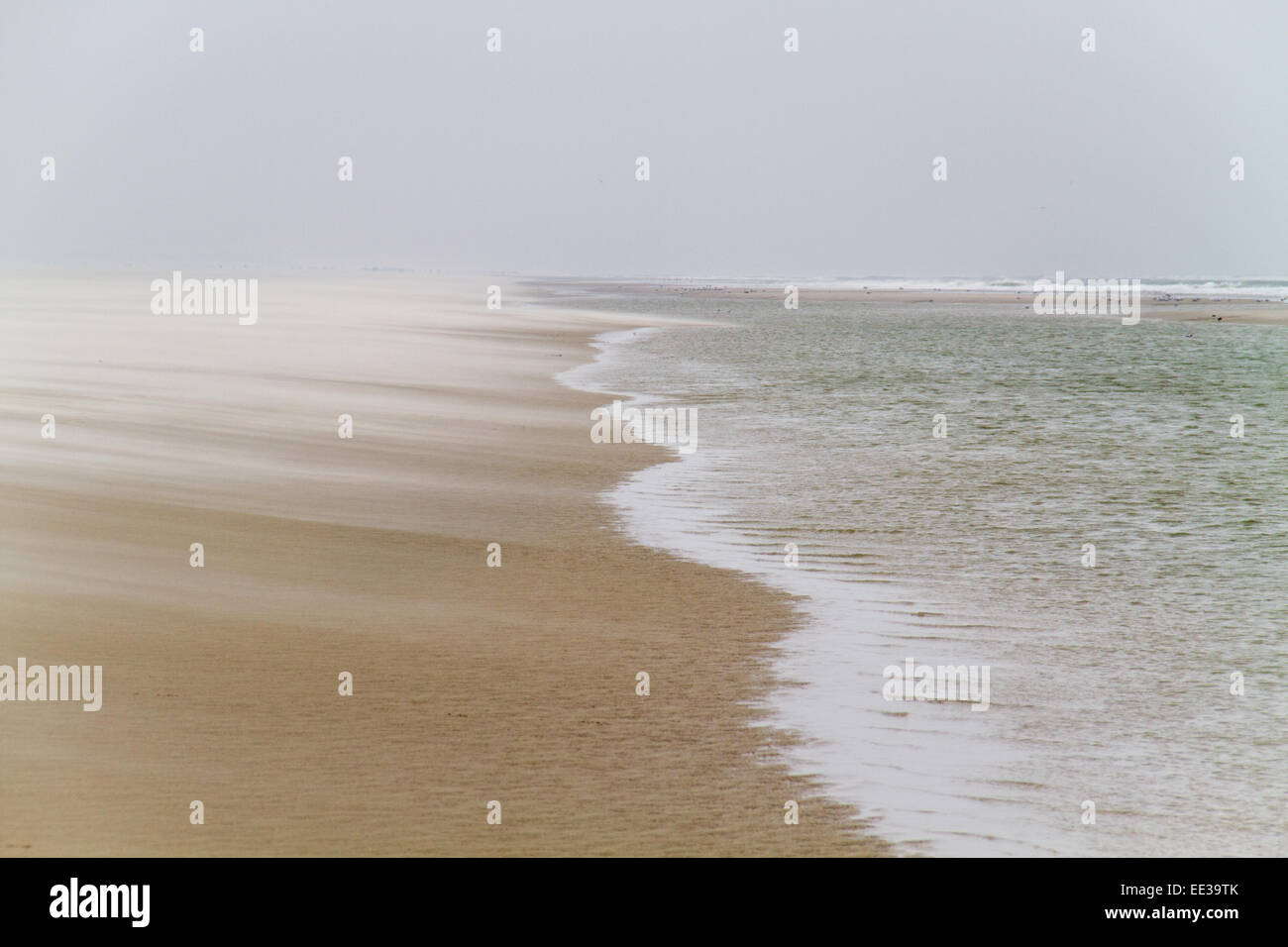 Wind bläst Sand vom Strand ins Meer Stockfoto
