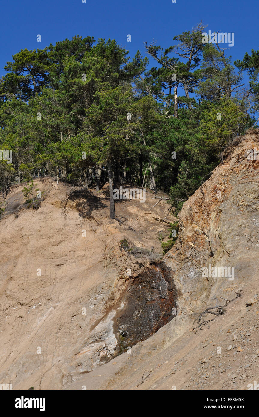 Cliff Erosion entlang der kalifornischen Highway 1 nördlich von Santa Cruz, Stockfoto