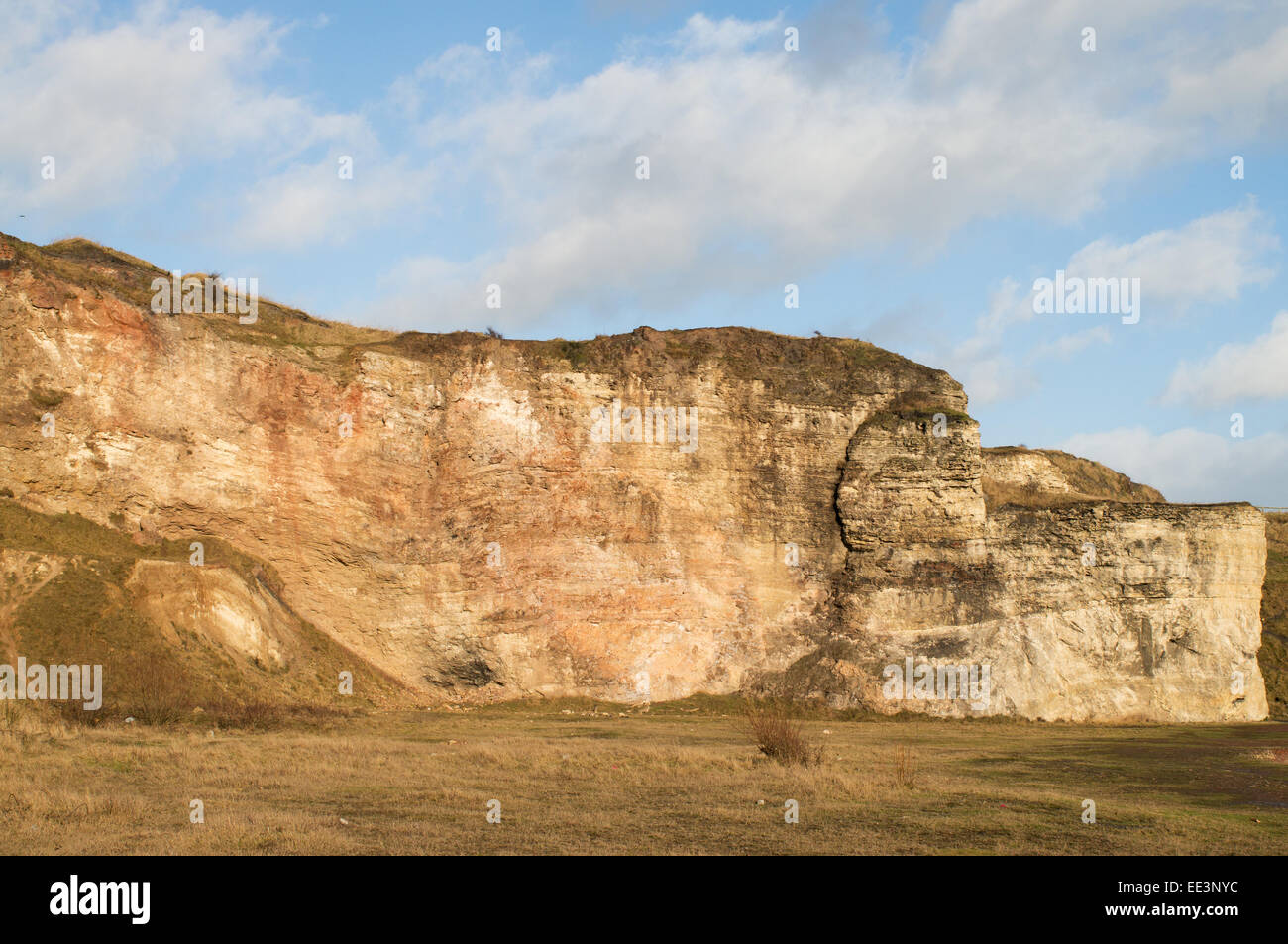 Magnesium oder Magnesitbindung Kalksteinfelsen bei Blast Strand, Seaham, Nord-Ost-England, UK Stockfoto
