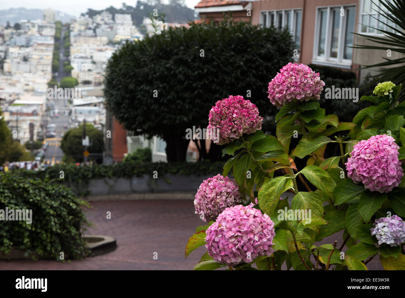Eine Ansicht der Lombard Street, Kalifornien Stockfoto