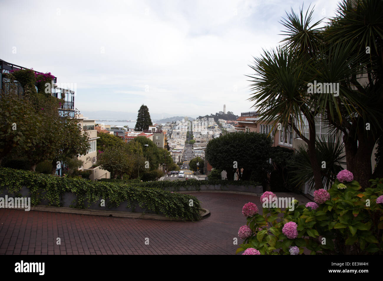 Eine Ansicht der Lombard Street, Kalifornien Stockfoto