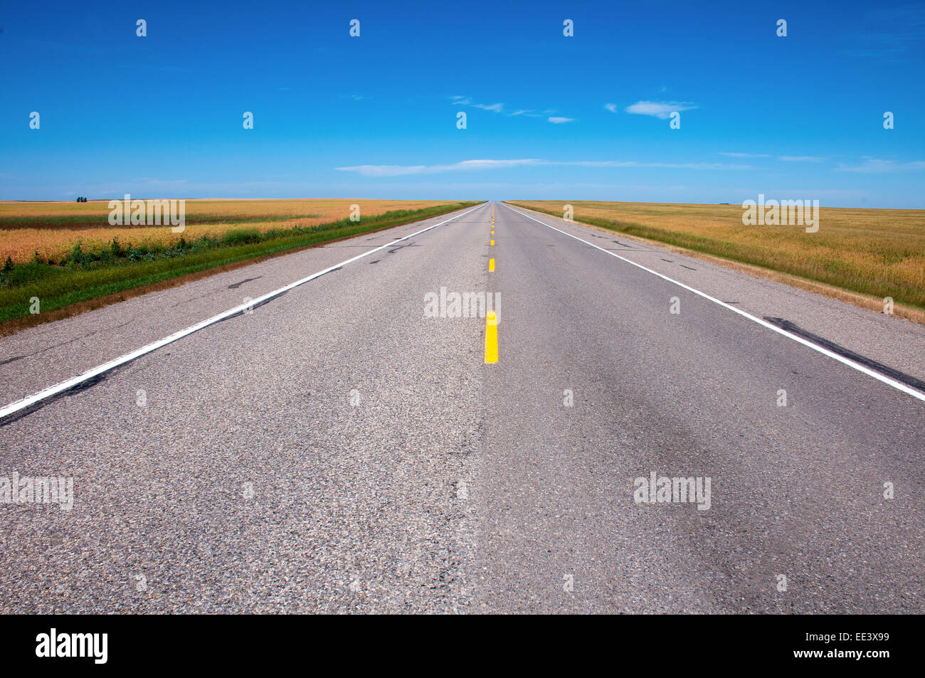 Endless empty road Stockfoto