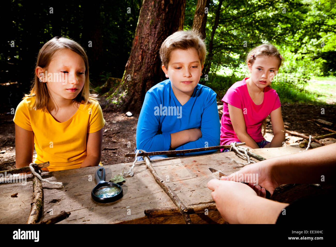 Kinder basteln im Wald Camp, München, Bayern, Deutschland Stockfoto