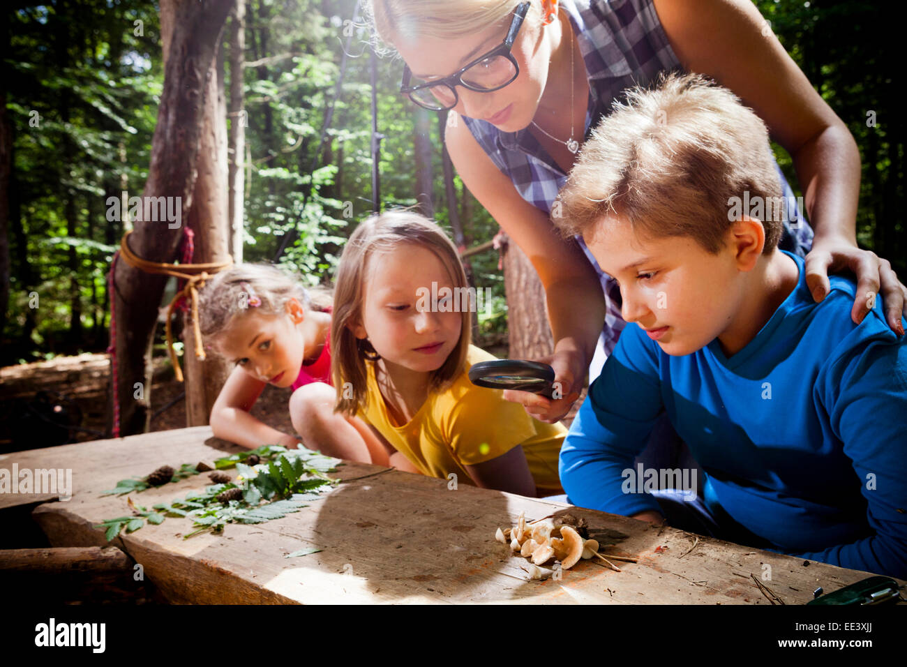 Kinder lernen in einem Wald Camp, München, Bayern, Deutschland Stockfoto