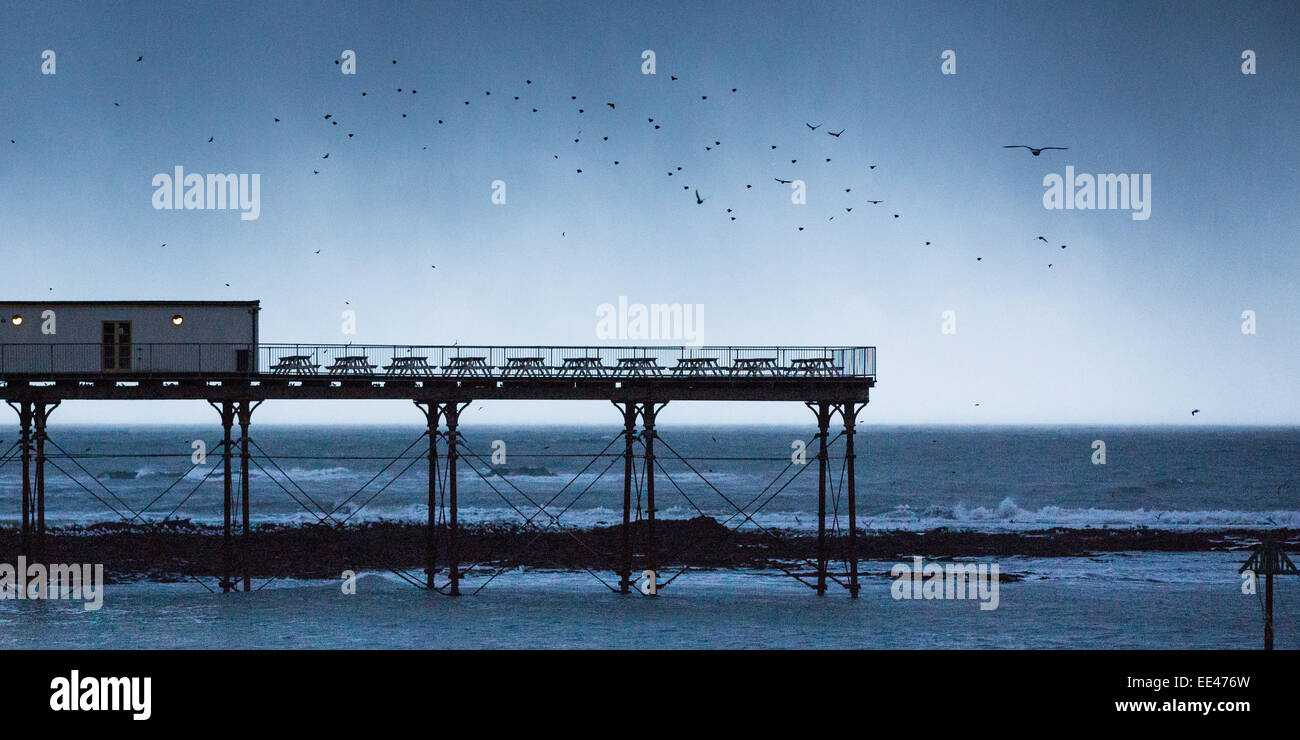 Aberystwyth, Wales, UK. 13. Januar 2015. Das Wetter. Dunkle Wolken mit Regen oder Schnee im Hintergrund Webstuhl, zurück Stare ihre Übernachtung Roost unter Aberystwyth Pier. Bildnachweis: Alan Hale/Alamy Live-Nachrichten Stockfoto