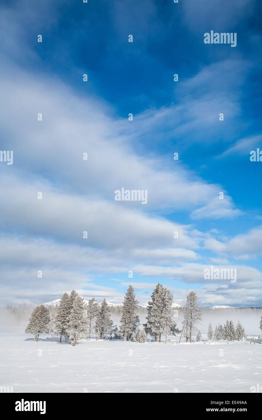 Winter im Yellowstone National Park Stockfoto