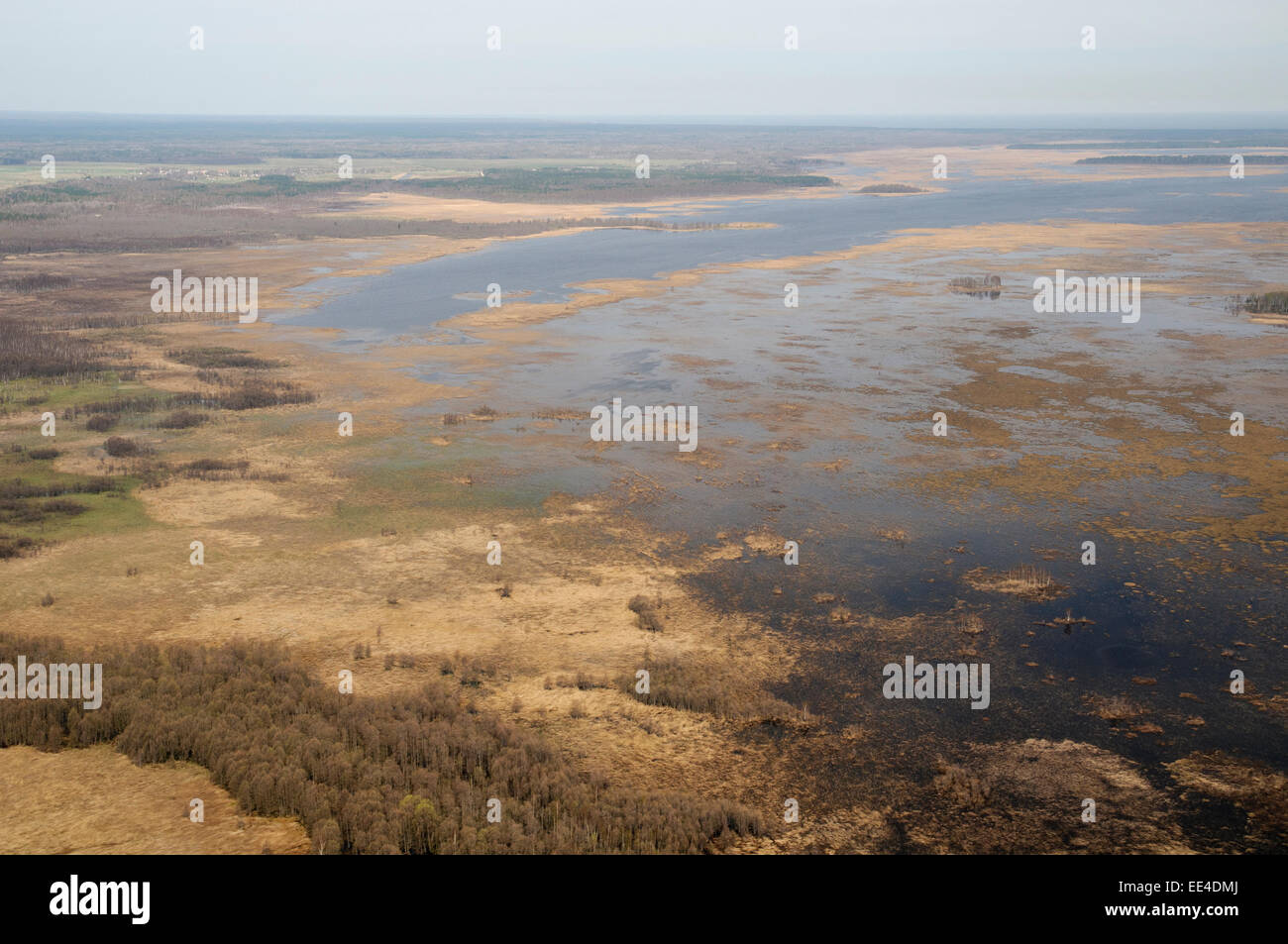 Luftaufnahme der See Engure Naturpark Stockfoto