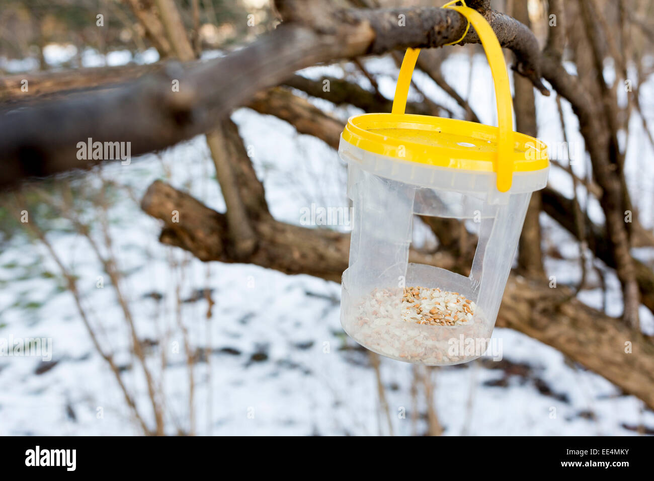 Ein Futterhäuschen für Vögel im Park voll mit Getreide. Stockfoto
