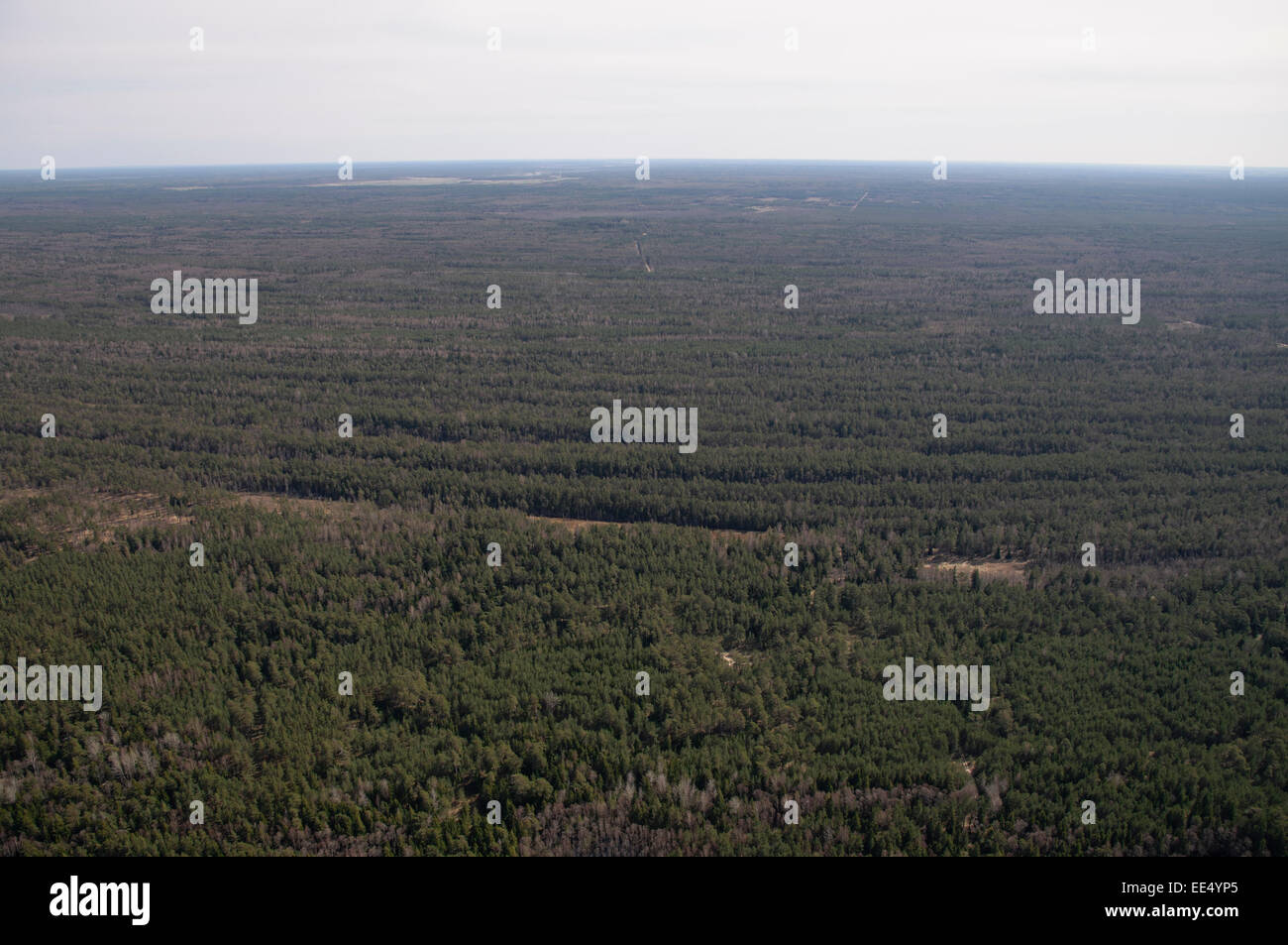 Wälder und nassen dune Durchhängen der Naturpark "Ances purvi un mezi' in den westlichen Lettland Stockfoto