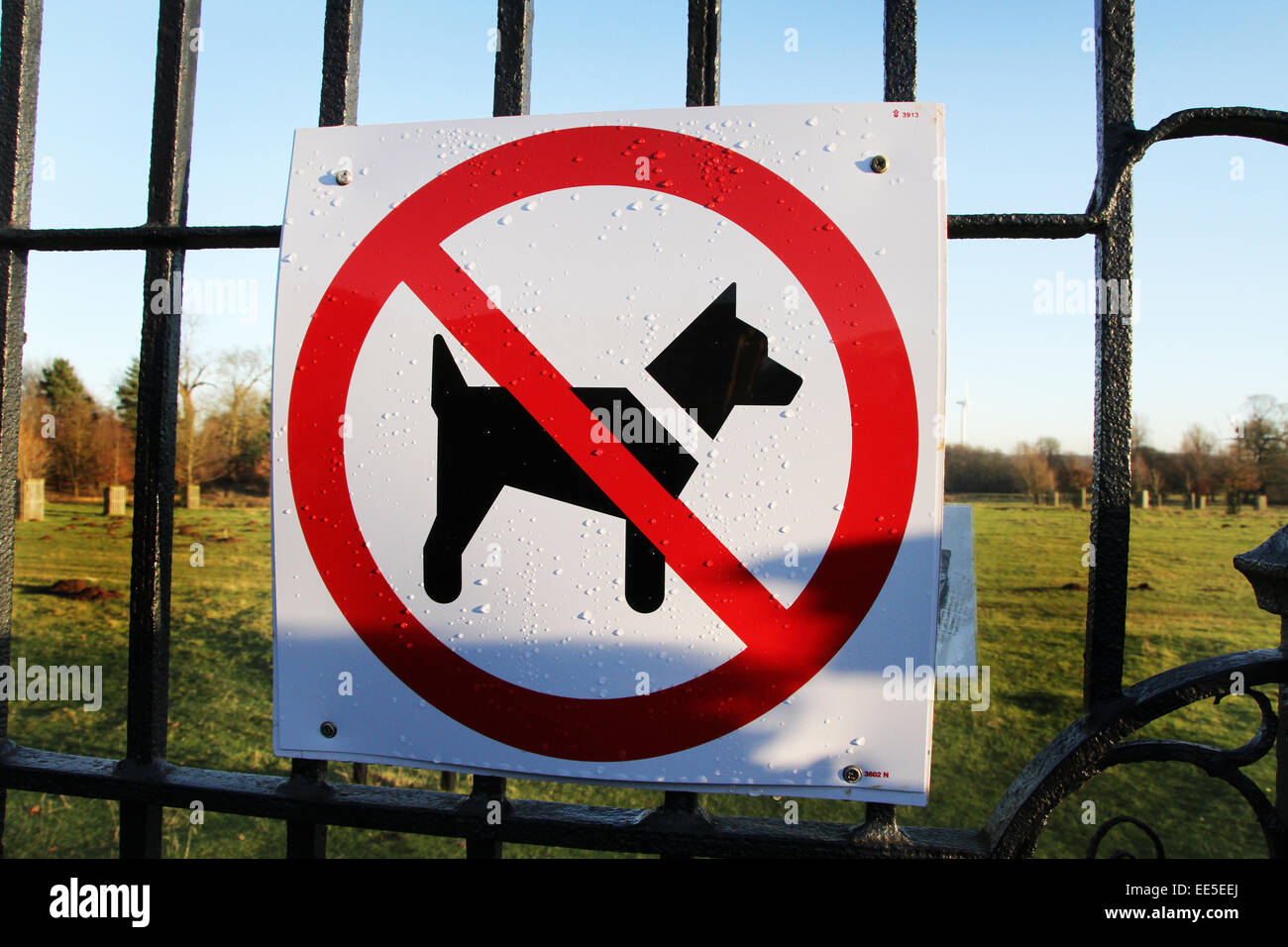 Grafik, keine Hunde erlaubt Zeichen. Stockfoto