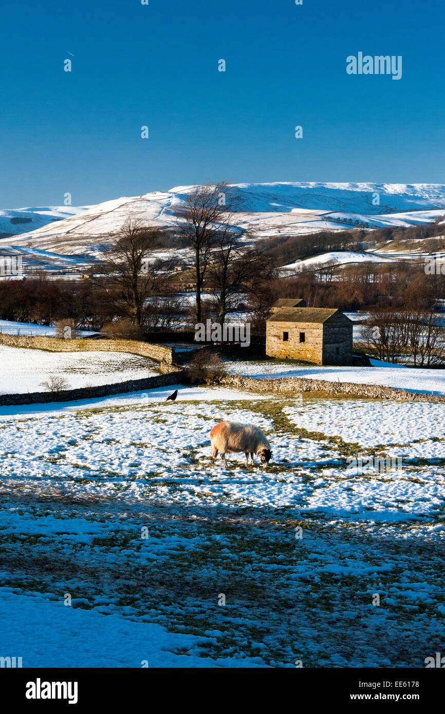 Winter-Hawes Stockfoto