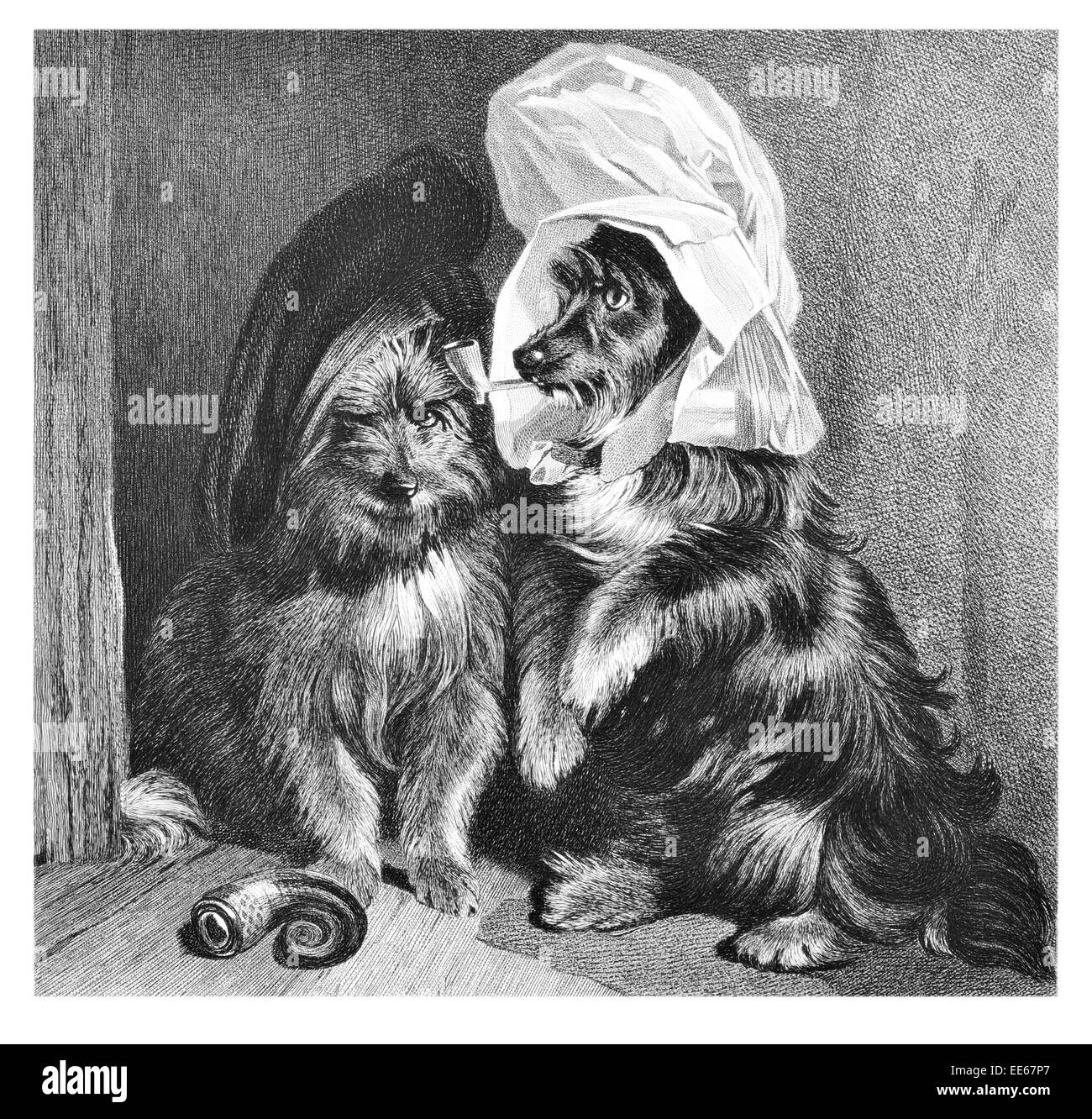 Komische Hunde Sir Edwin Henry Landseer Hund Hunde Hunde Haustier Haustiere Kostüm Komödie rauchen Pfeife Tier Stockfoto