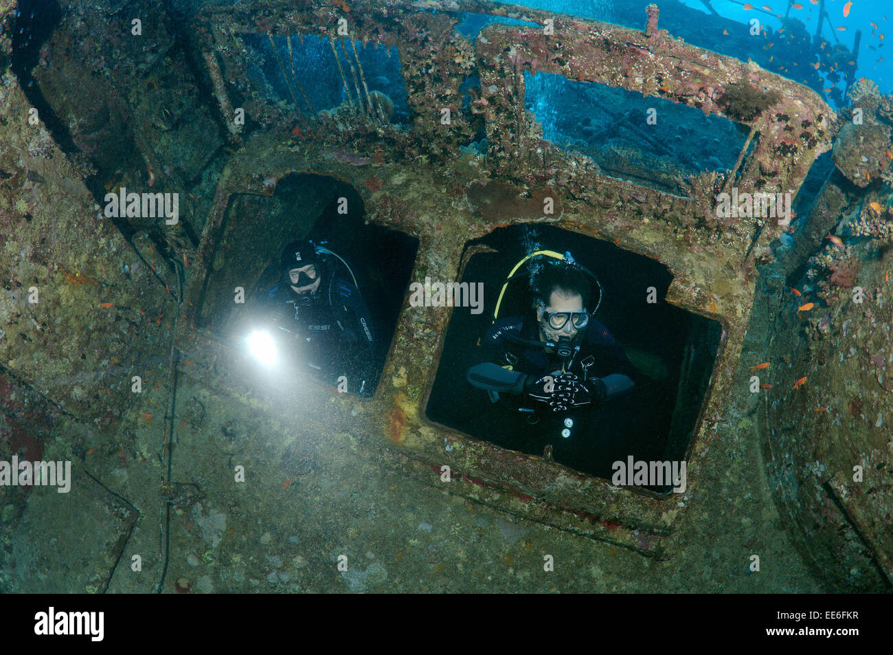 Taucher am Wreckship Gianis D. Rotes Meer, Sharm El Sheikh, Ägypten Stockfoto