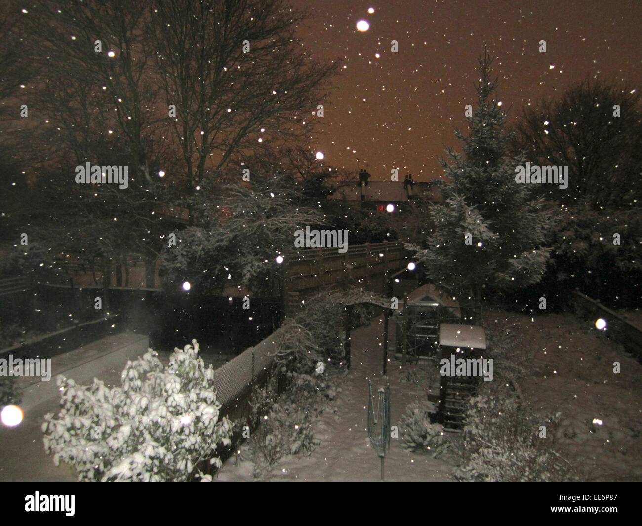 verschneiten Garten in der Nacht Stockfoto