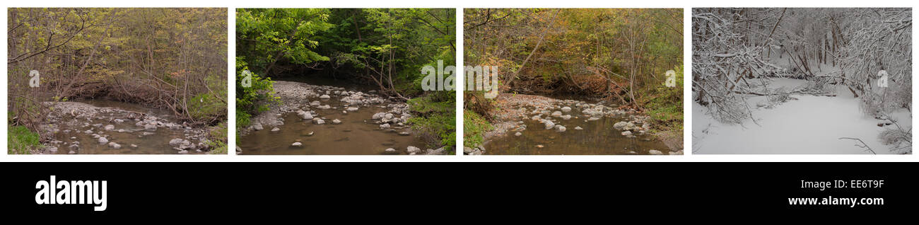Vier Jahreszeiten illustrieren die gleiche Szene. Ein Fluss fließt durch die Landschaft im Frühling, Sommer, Herbst und Winter. Quadriptych Stockfoto
