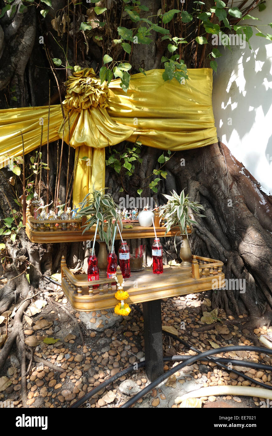Buddhistischen Schrein Band um Baum, Abwehr von bösen Geistern, mit Fanta Trankopfer, Bangkok, Thailand. Stockfoto