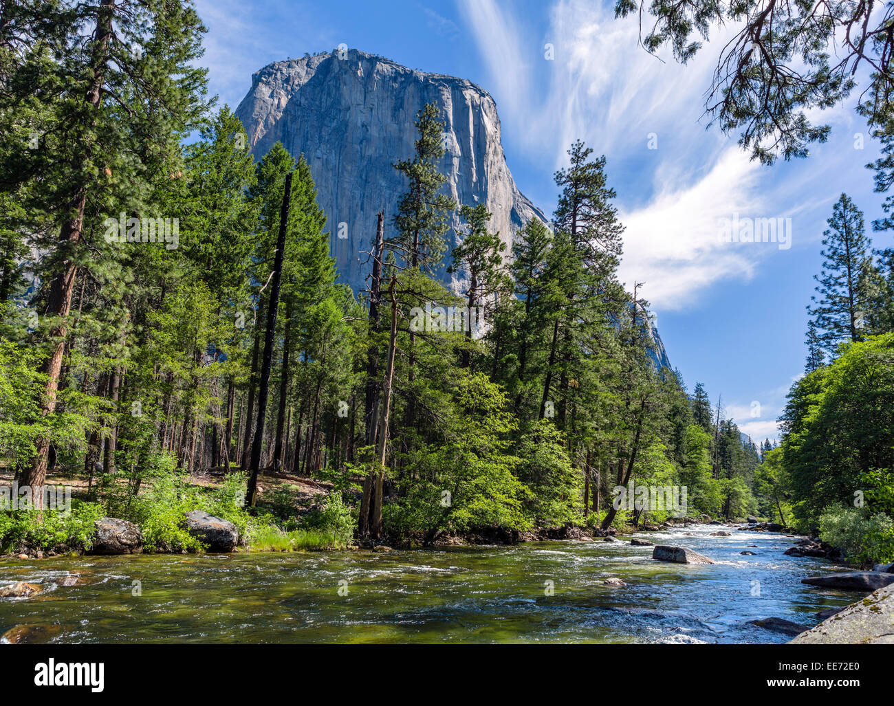 Kalifornien. Merced River und El Capitan von Southside Drive im Yosemite Valley, Yosemite-Nationalpark, Kalifornien, USA Stockfoto