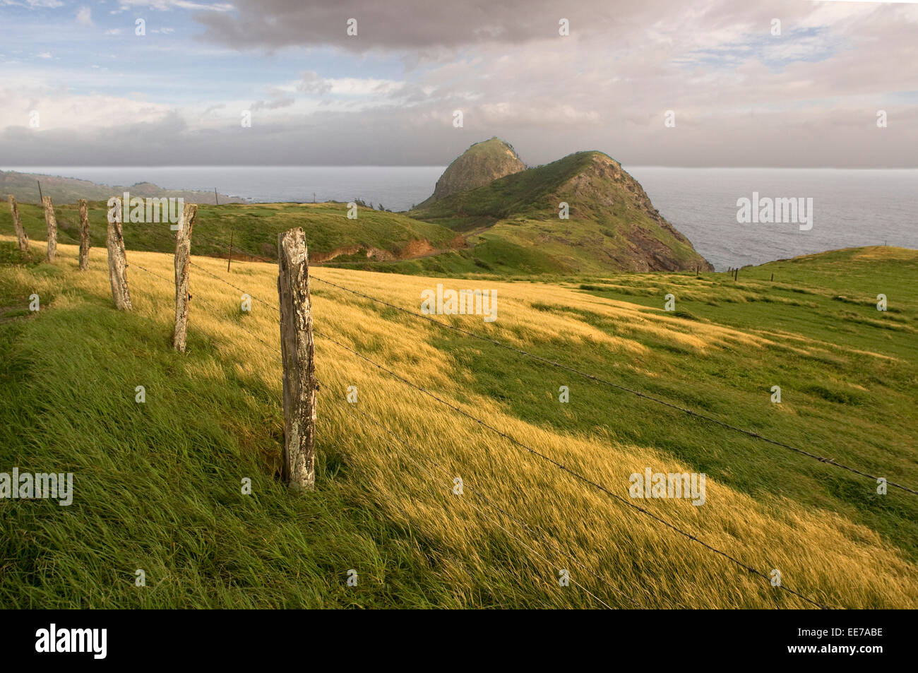 Landschaft zwischen Kahakuloa y Honokohau. Maui. Hawaii. Kahakuloa Head und die kleinere Pu'u Kahlui-Anapa wie aus dem Westen Ma gesehen Stockfoto