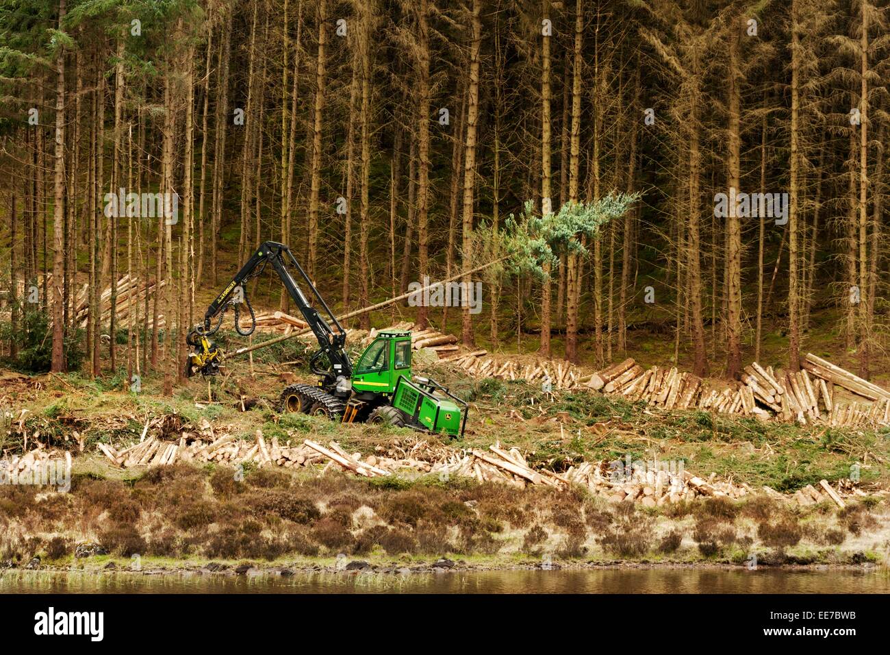 John Deere 1270D Harvester Fällen Holz in einem Wald im westlichen Schottland.  Ein Beispiel für Maschinen für die Ernte von Nadelholz. Stockfoto
