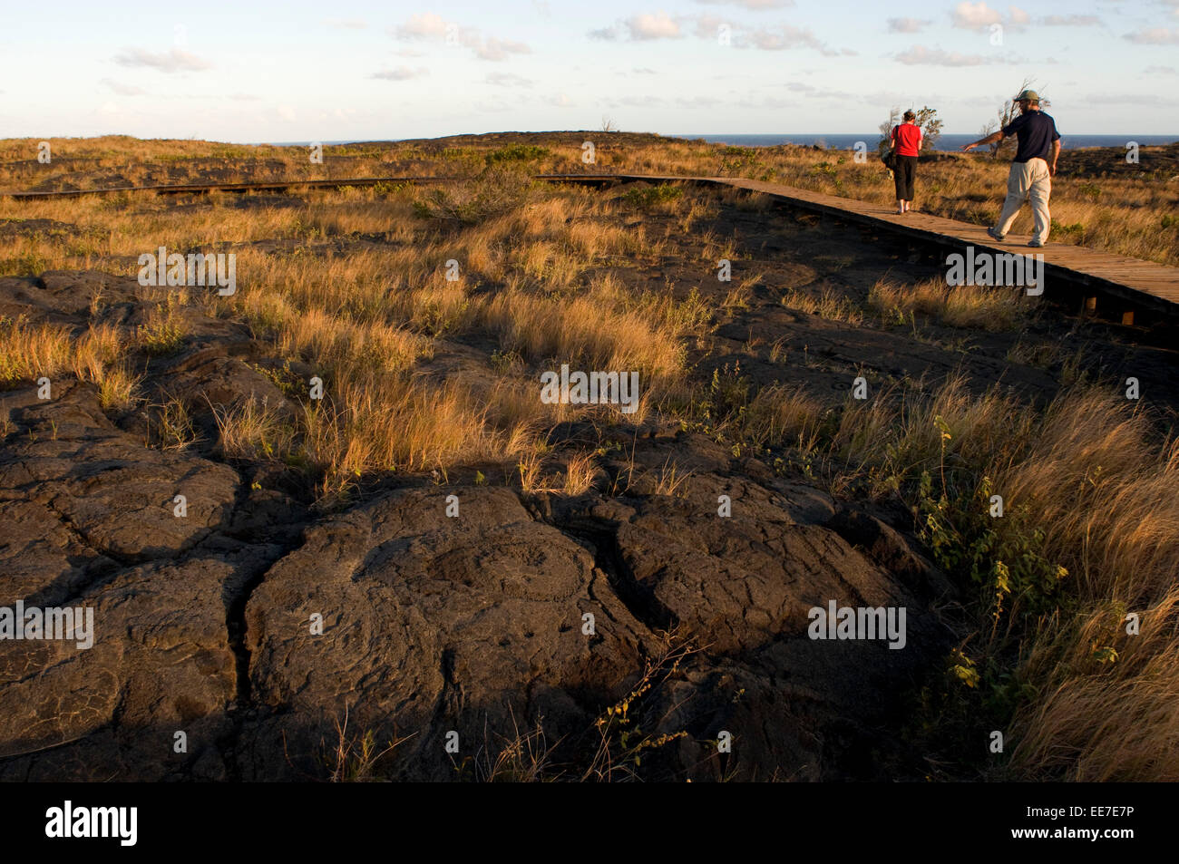 Mauna Loa Petroglyphs. Hawaii Volcanoes National Park. Big Island