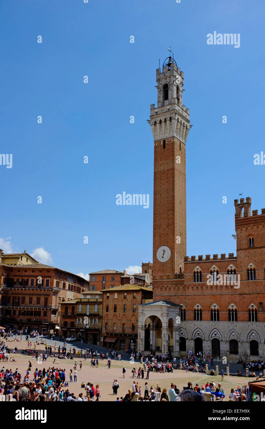 Piazza del Campo, Mangia-Turm und Siena Stockfoto